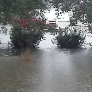 Meet your Posher, Clarence